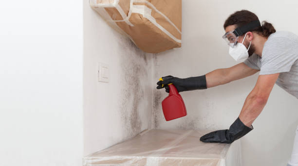 Professional Crawl Space Mold Removal technician working in Lynn, MA