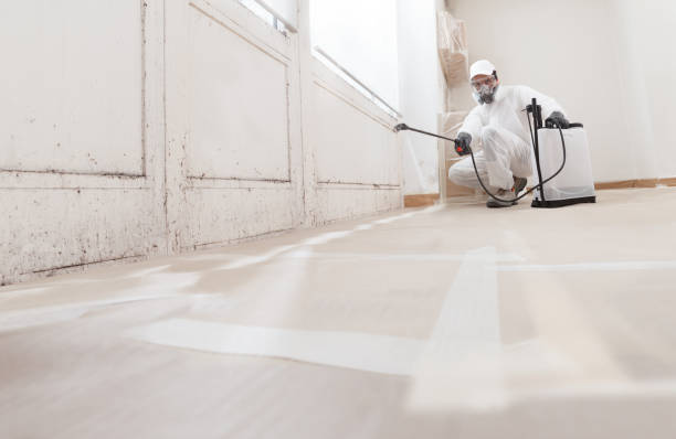 24/7 Emergency Crawl Space Mold Removal experts in Lynn, MA